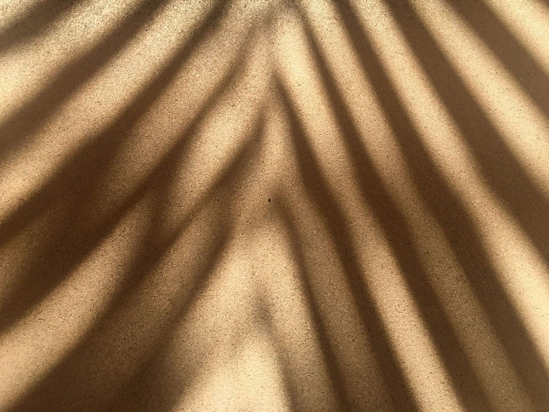 Close-up of sand wall with palm leaf shadows